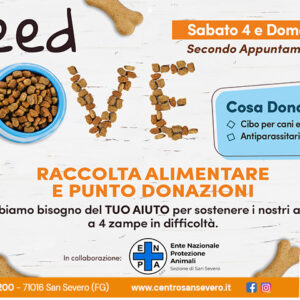 I Need Love! Raccolta alimentare per i nostri amici a 4 zampe.